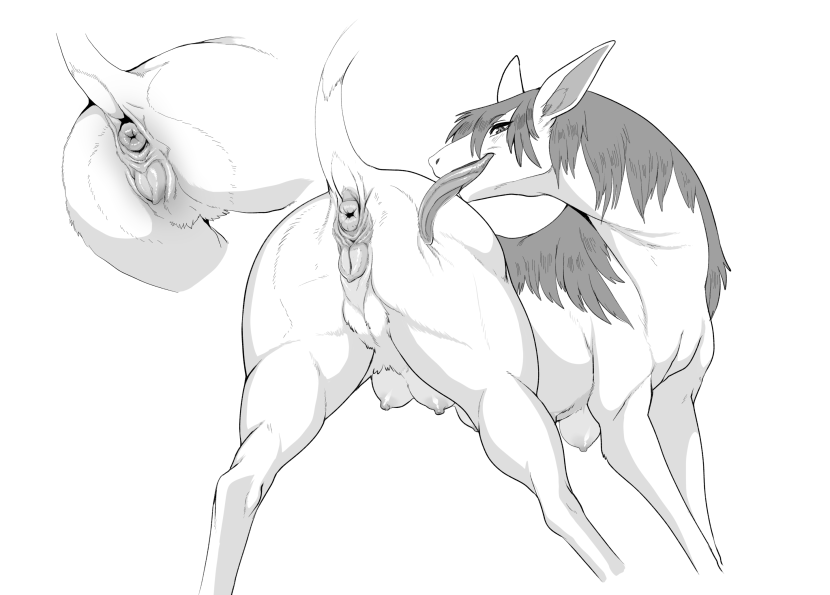 2018 Anatomically Correct Genitalia Animal Genitalia Vagina