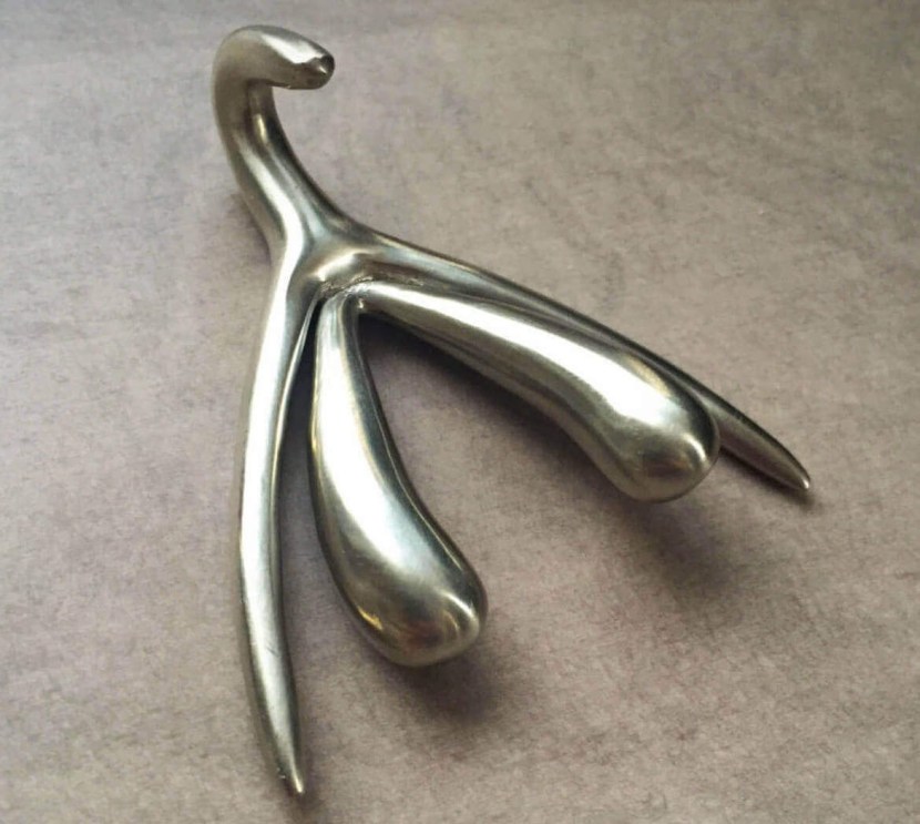 3D model of excited clitoris