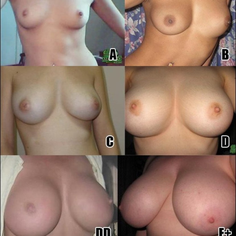 Tits of different shapes and sizes