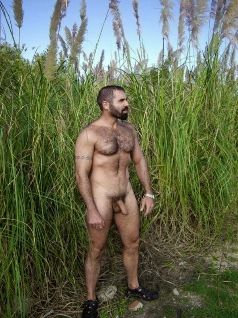 Naked hairy guys in nature