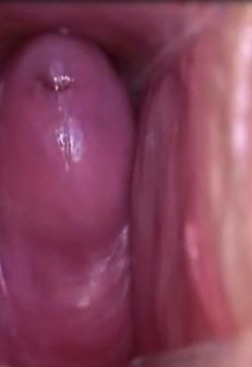The View of the Penis Inside The Vagina (71 photos)