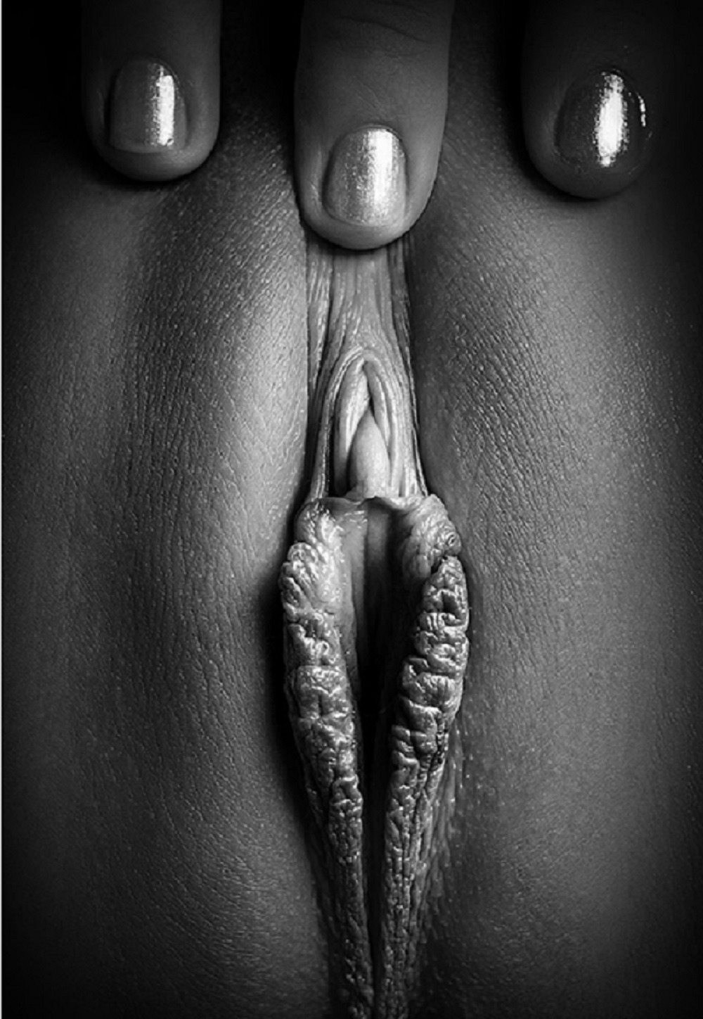 Black And White Erotic Anal Sex Pics Tumblr - Nude Black and White (71 photos) - porn ddeva