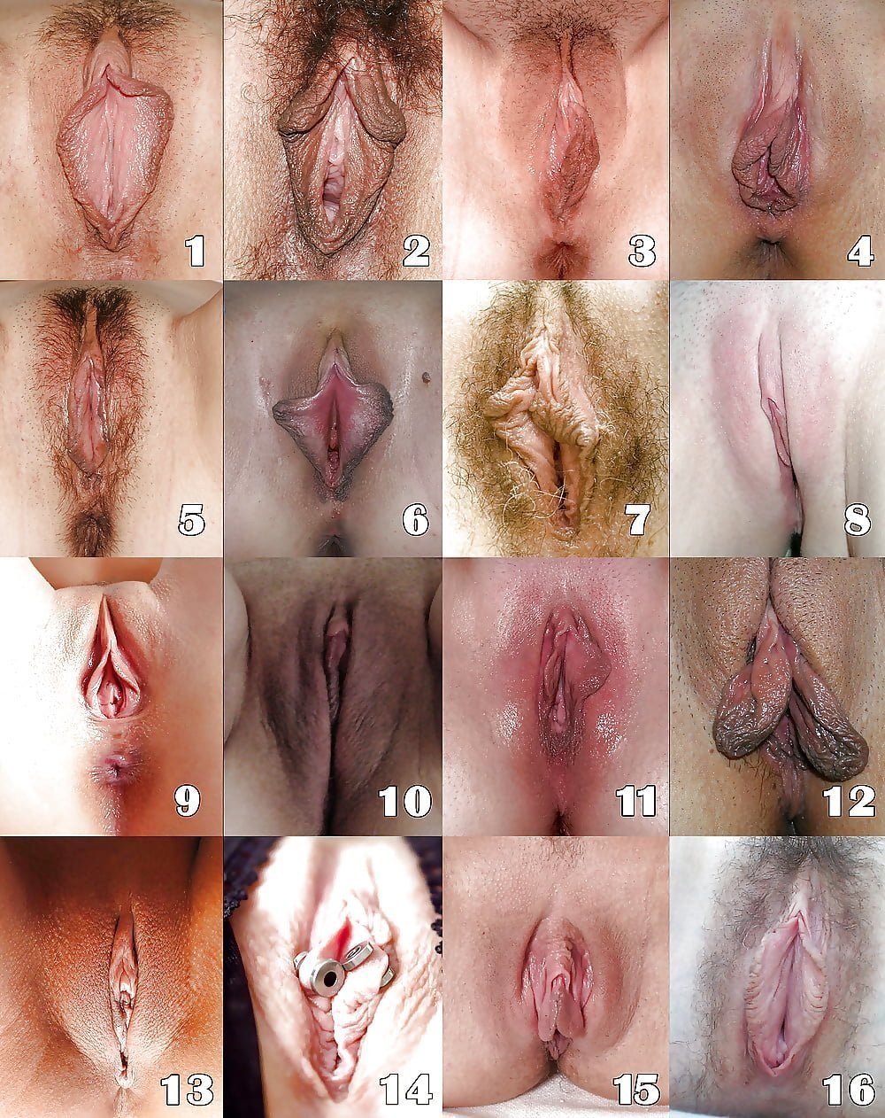 Varieties of Female Pussy Porn (66 photos) - porn ddeva