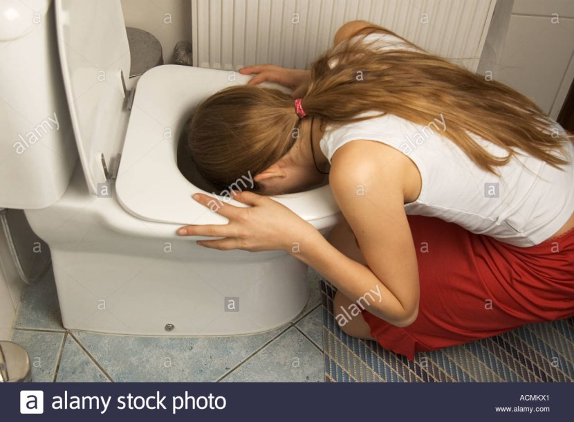 Toilet slave toilet