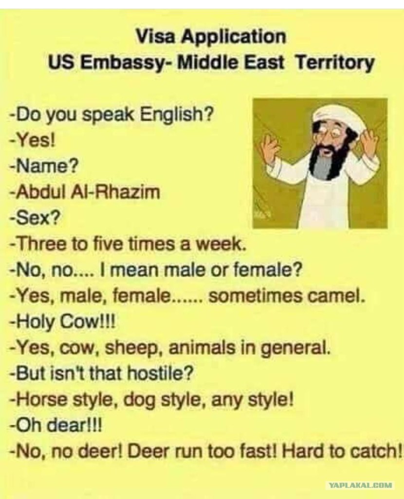 Funny pictures What vid You Say