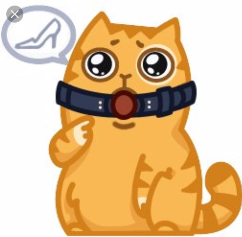 Stickers. Cat
