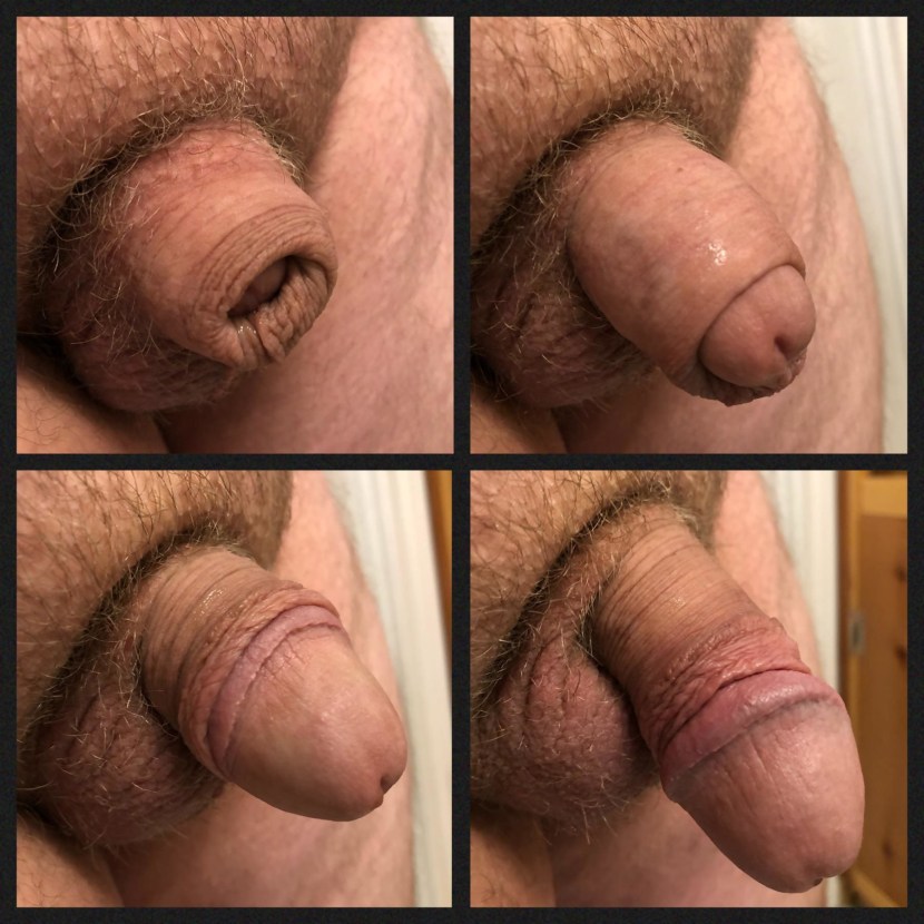 Shaved Circumcified Flaccid Penis at home