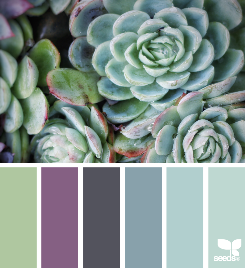 Color palette