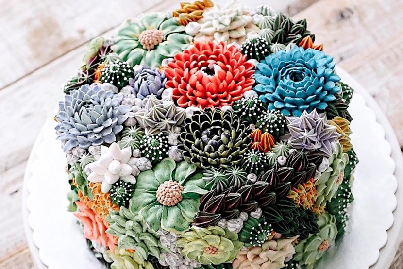 STEMENT SUKKULENT OPENSION