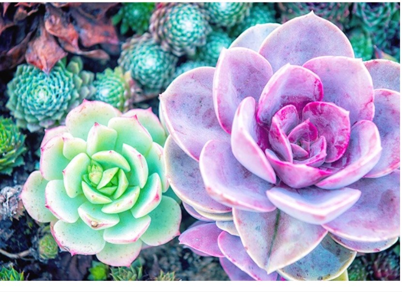 Minimalism of aesthetics