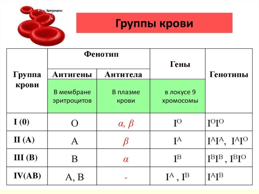 2 blood type 2 characteristic