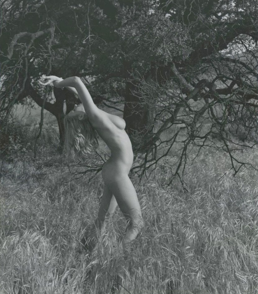 Actress Anita Ecberg xxx