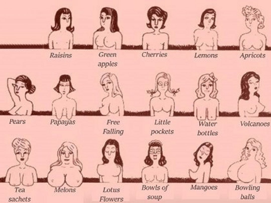 Different types of sexy boobs