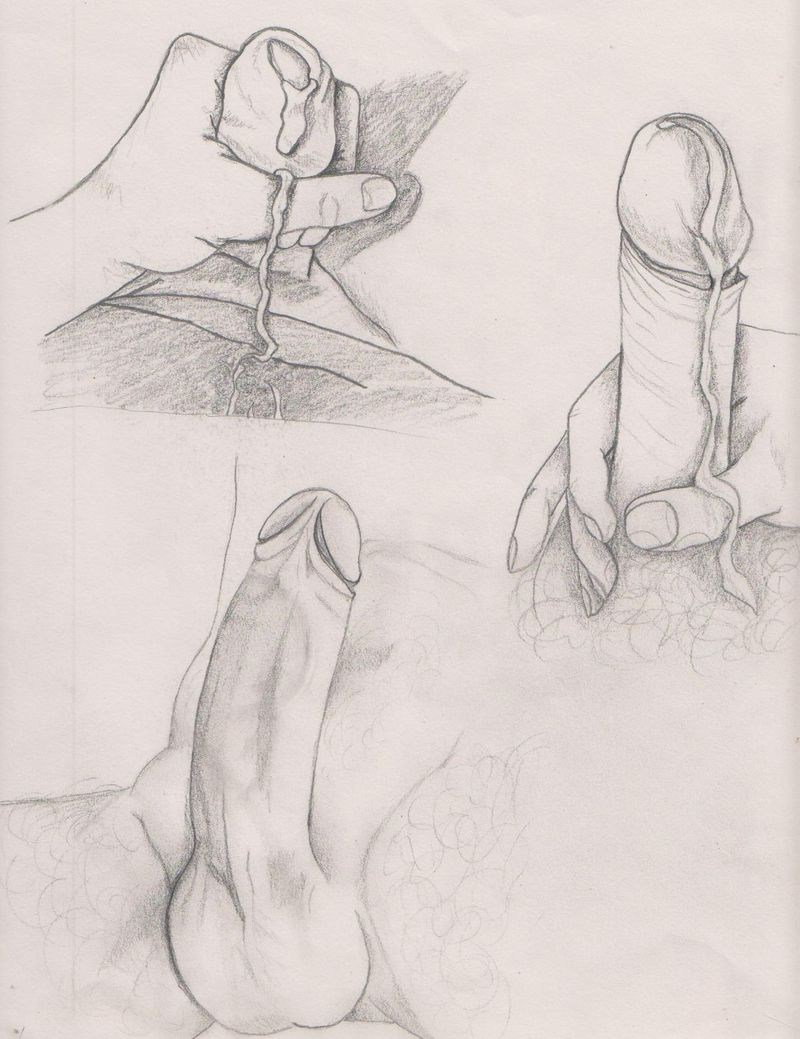 Sketch of a member