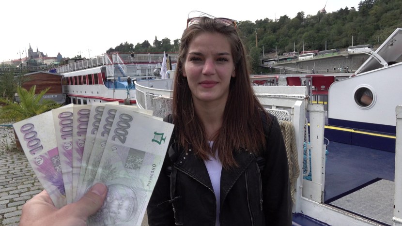 Press Secretary of the Czech Republic of Sheepskin