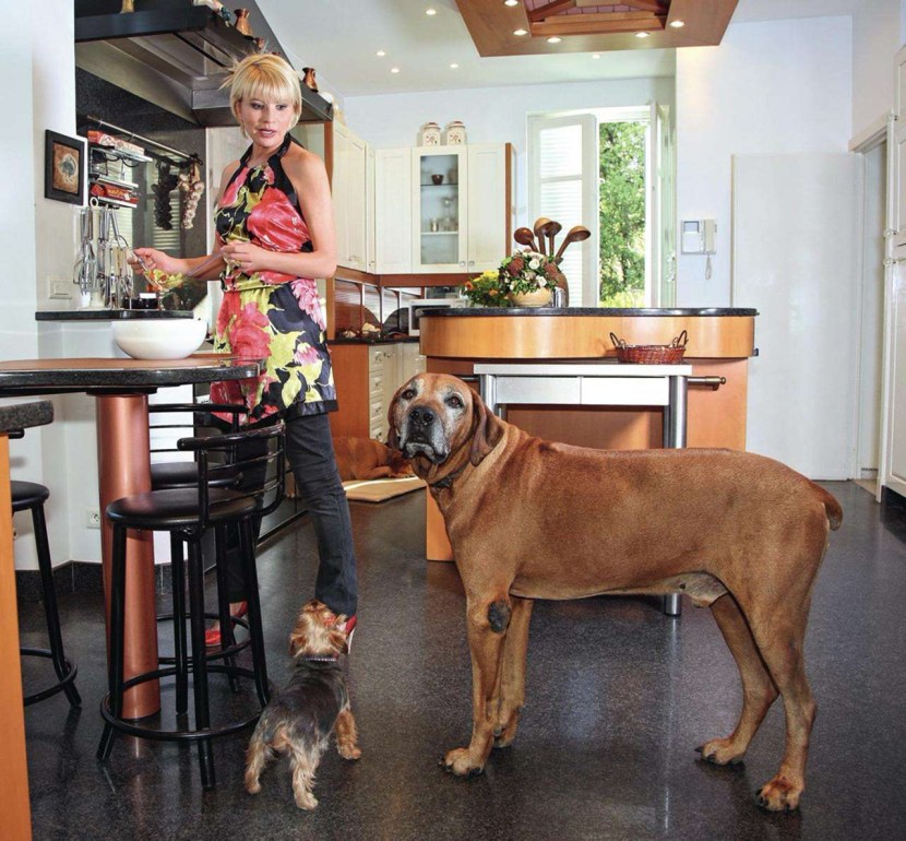 70-yillar filmlaridagi yalangochlik sahnalari