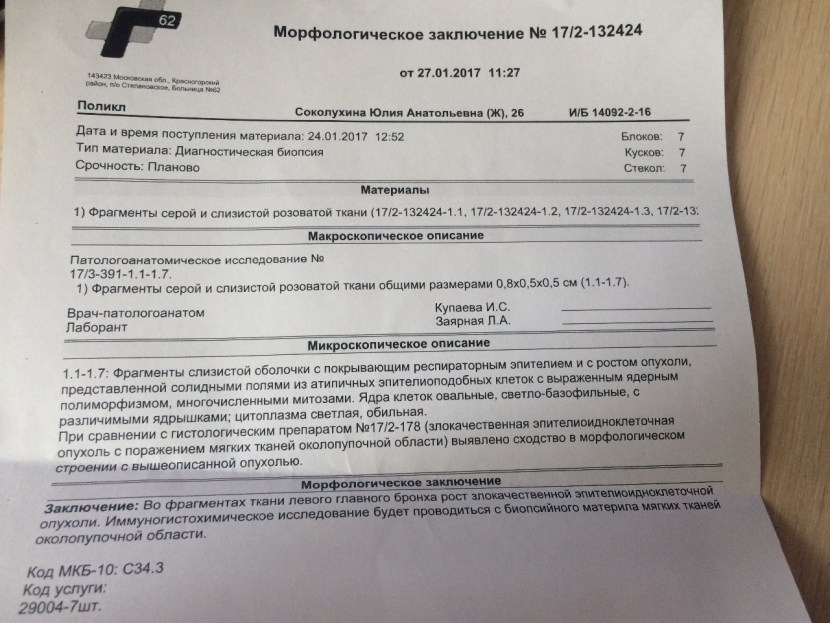 The resume of the programmer