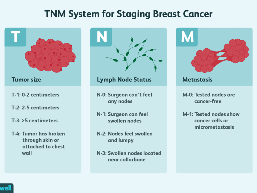 Germ Cell Tumors Classification