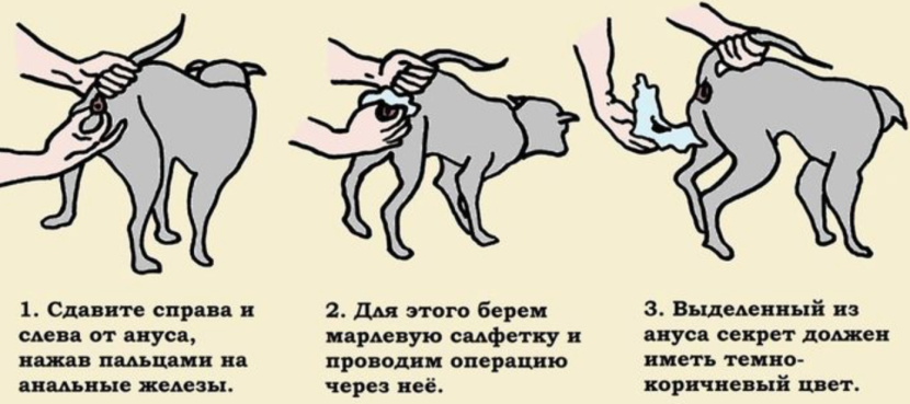 Auto parts store icon