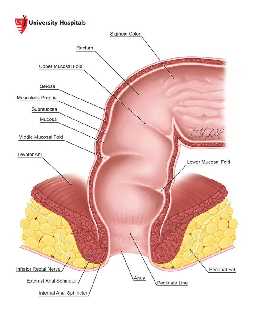 The girl got into jeans