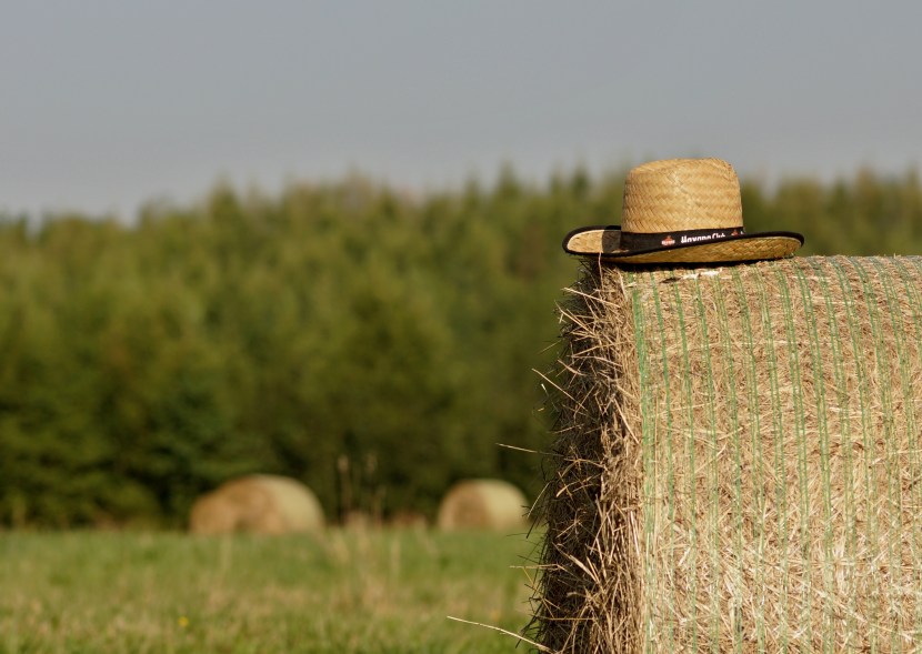 House with haystack