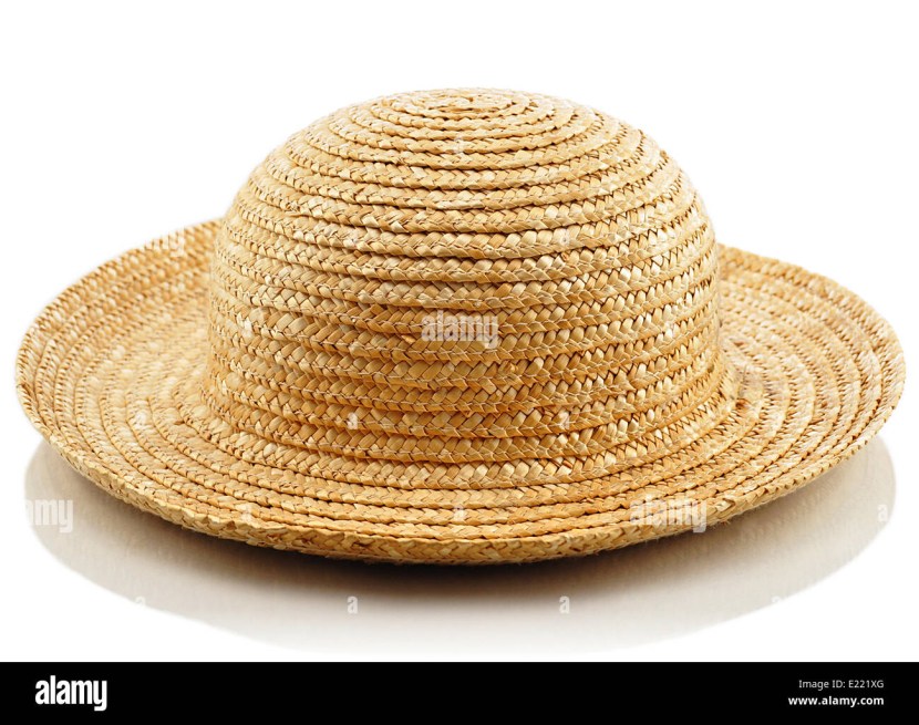 A straw hat vector