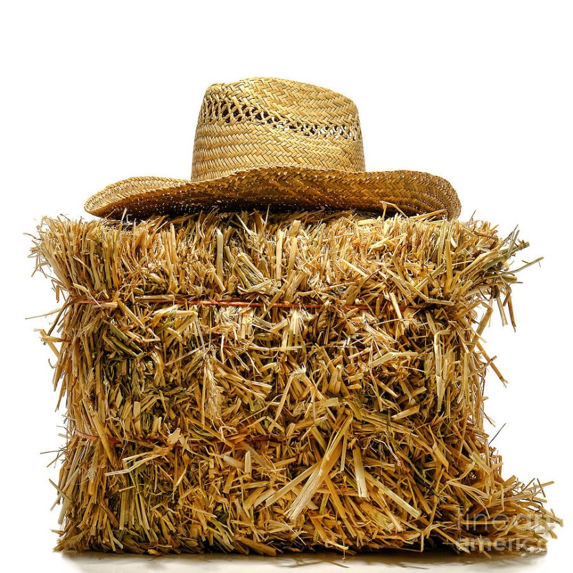 Haystack for children