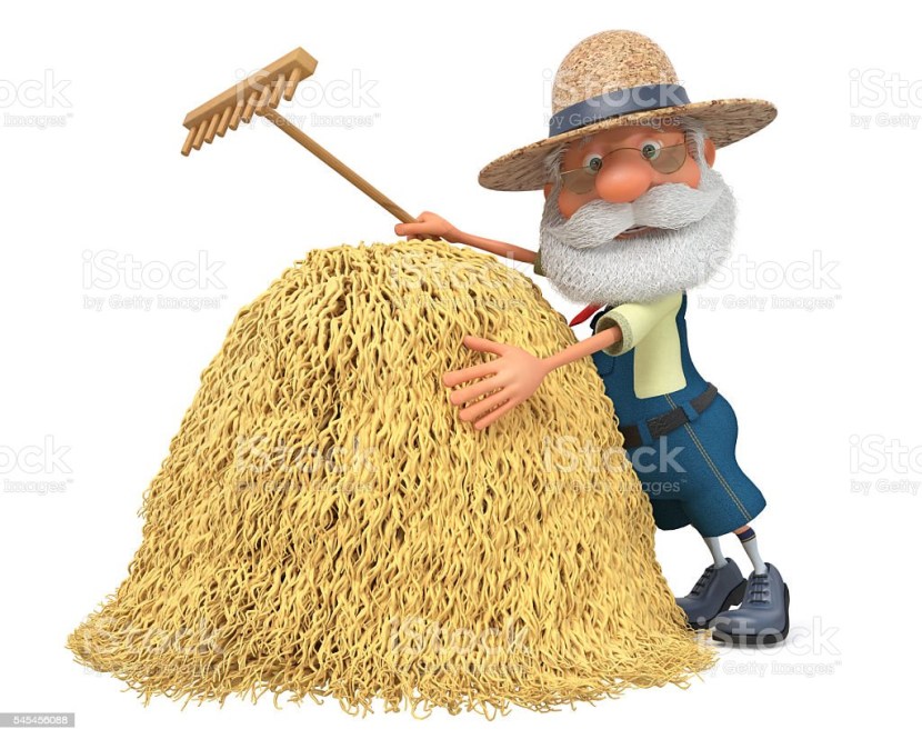 Photo session of pregnancy in a straw hat in the field