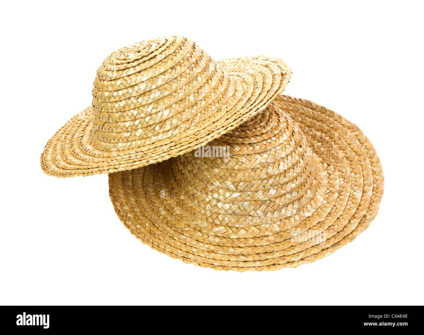 Funny cat in a straw hat