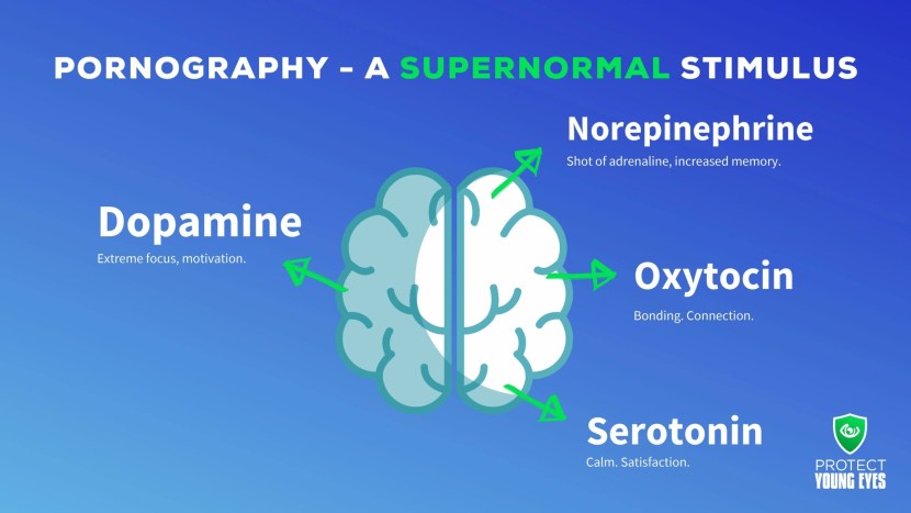 Pornhab statistics around the world