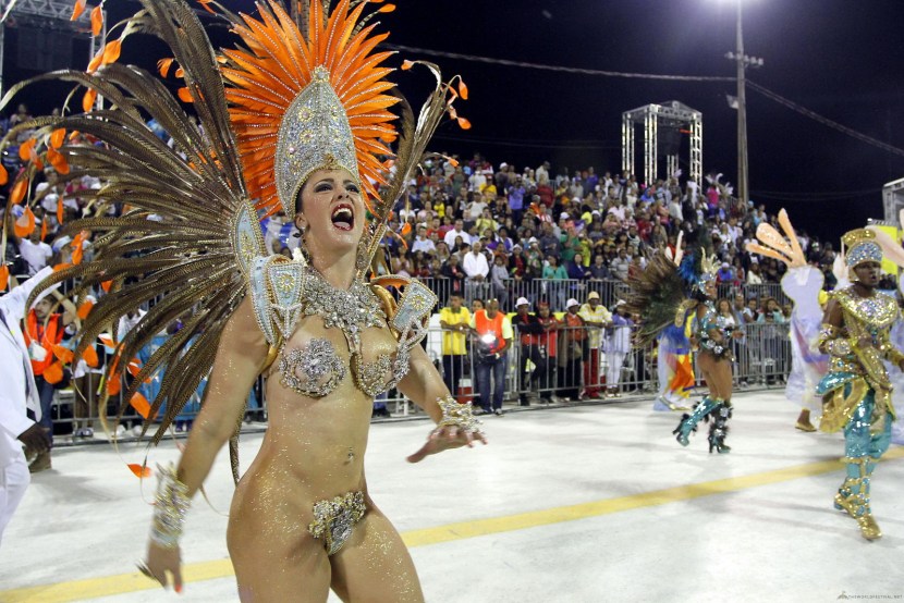 Brazilians on the carnival in Rio de Janeiro