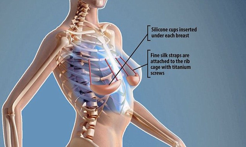 Household services Illustration