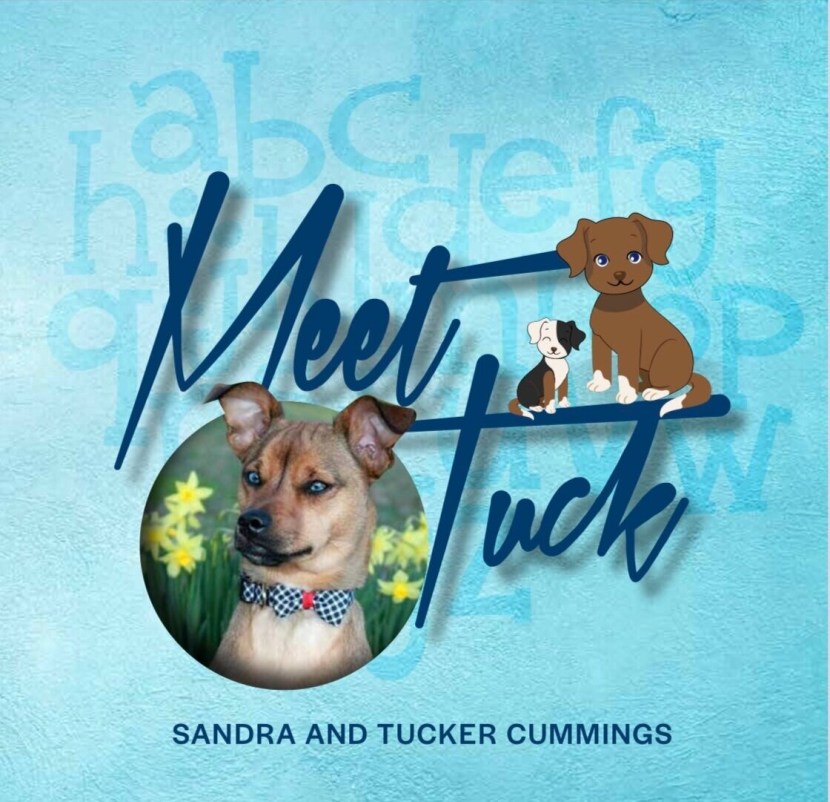 Kiara mia American porn actress