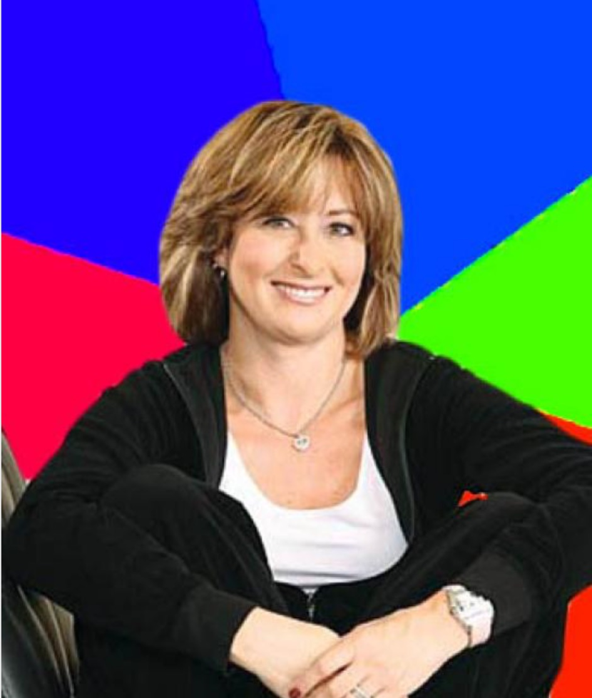 MSI 865GVM2-LS motherboard