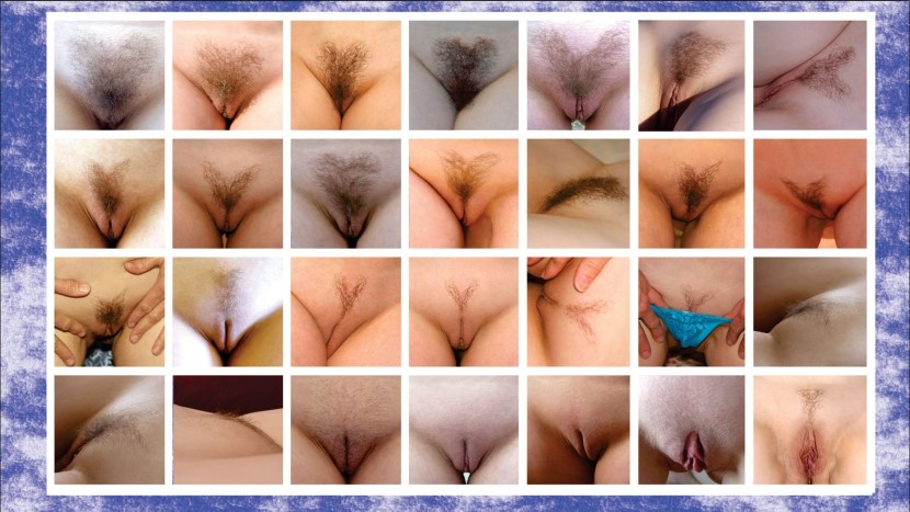 Female hairstyles on the pubis