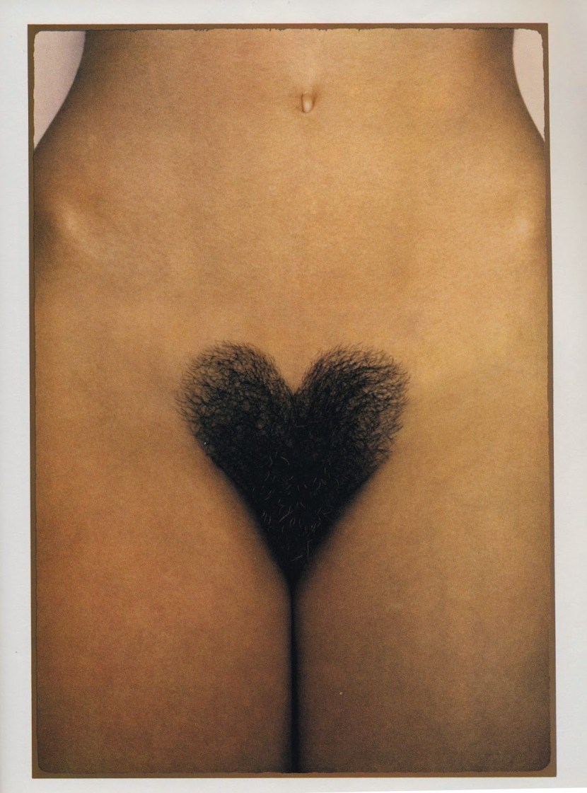 Women's intimate hairstyles