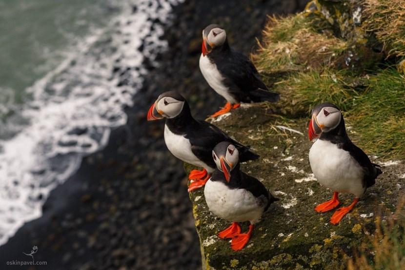 The dead end is a symbol of Iceland