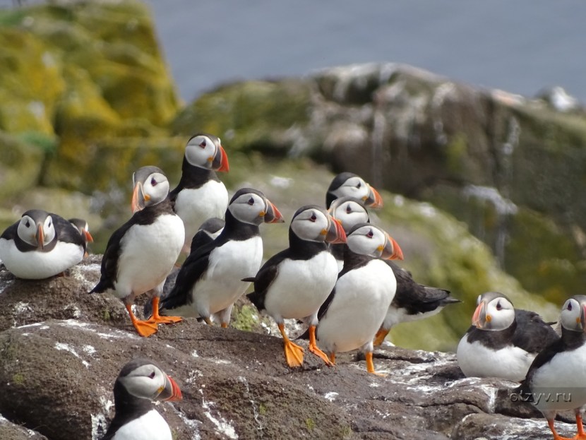 Atlantic impasse scheme