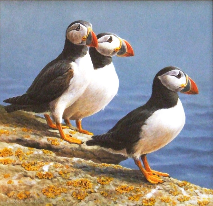 Atlantic dead end photo