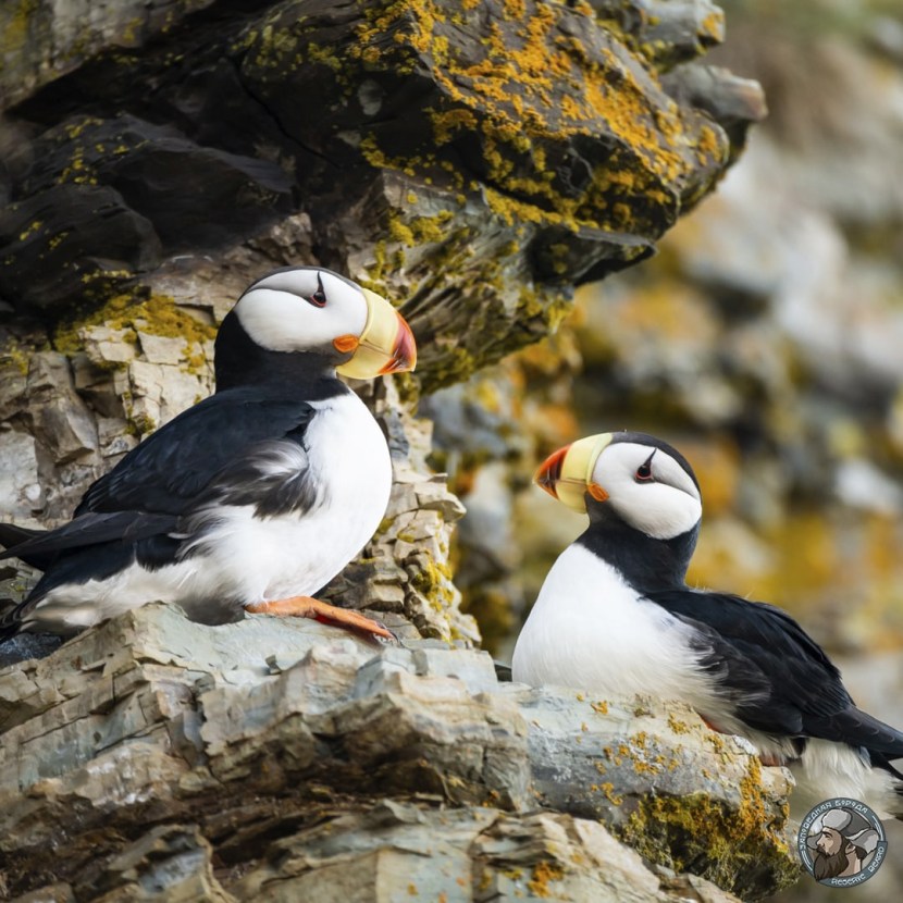 Kandalaksha reserve dead end