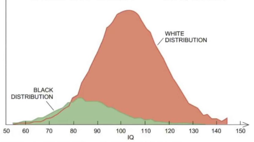 Statistics Pornhab 2019