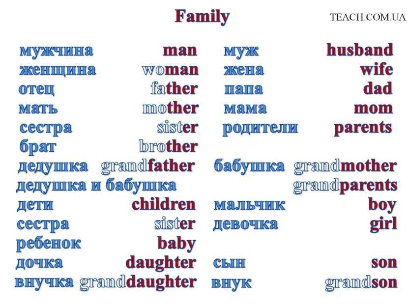 Family members in English table