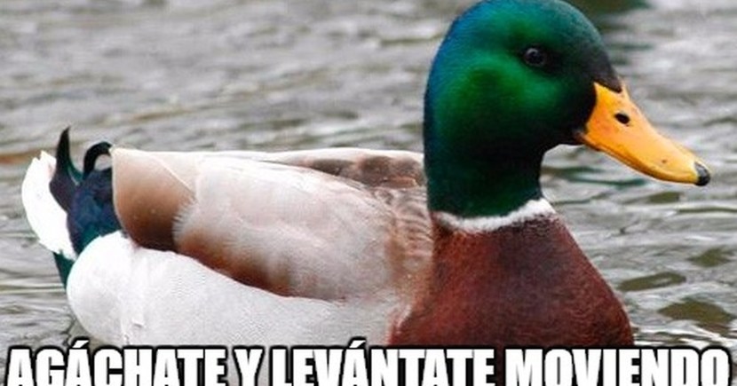 Atlantic dead end area