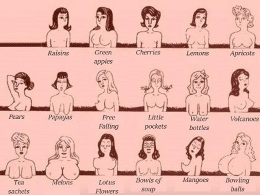 What size do you have boobs