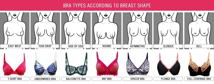 The name of the forms of female boobs