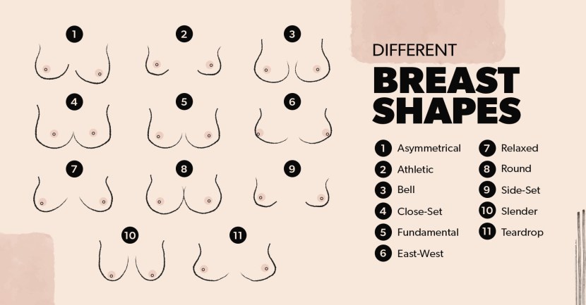 Varieties of female breast