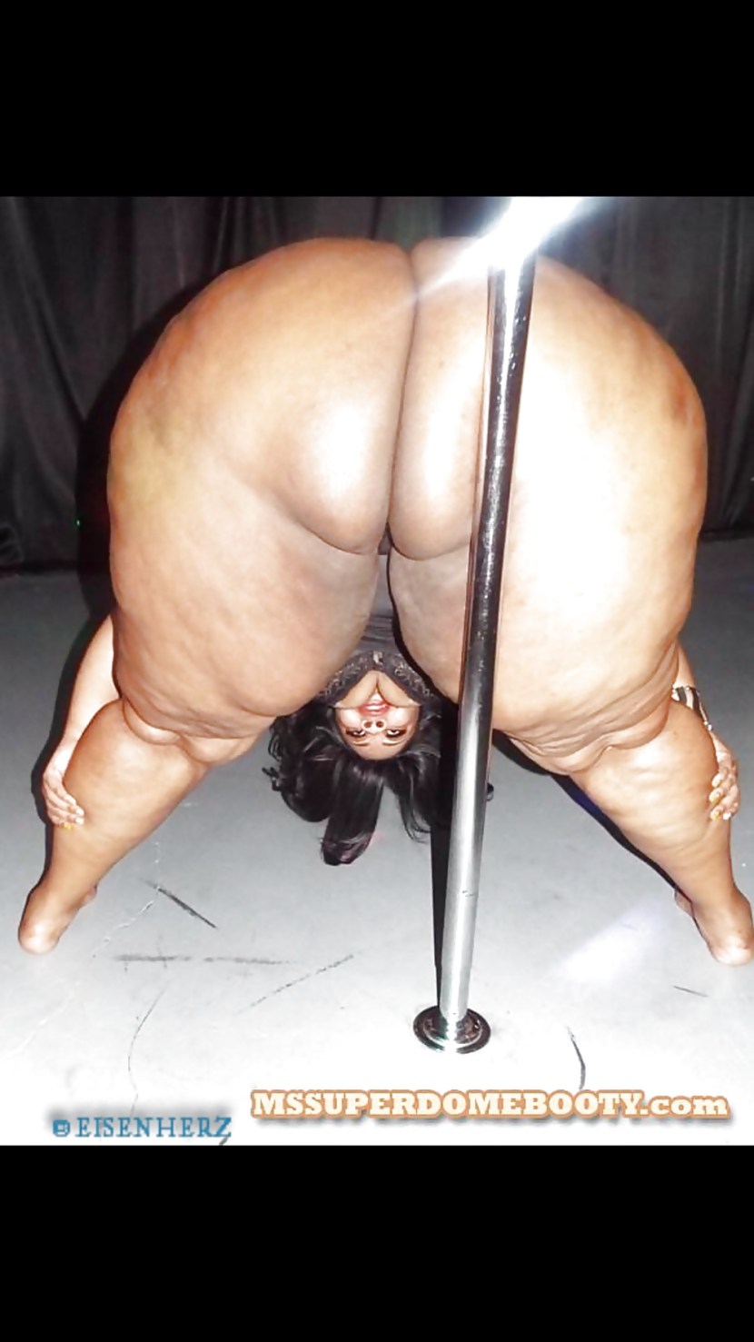 Sheena Shaw Ass Pussy Pornstar