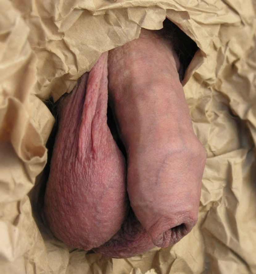 Foresskin Cock Hanging Balls in panties