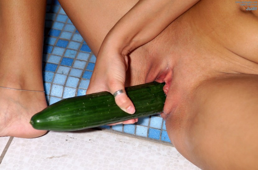 Fallomitator Malena Morgan Anal