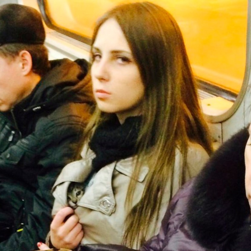 As Cats Postpone Trips to the Subway